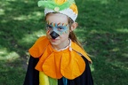 IMG 8742